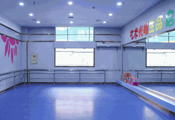 小百合国际艺术教育